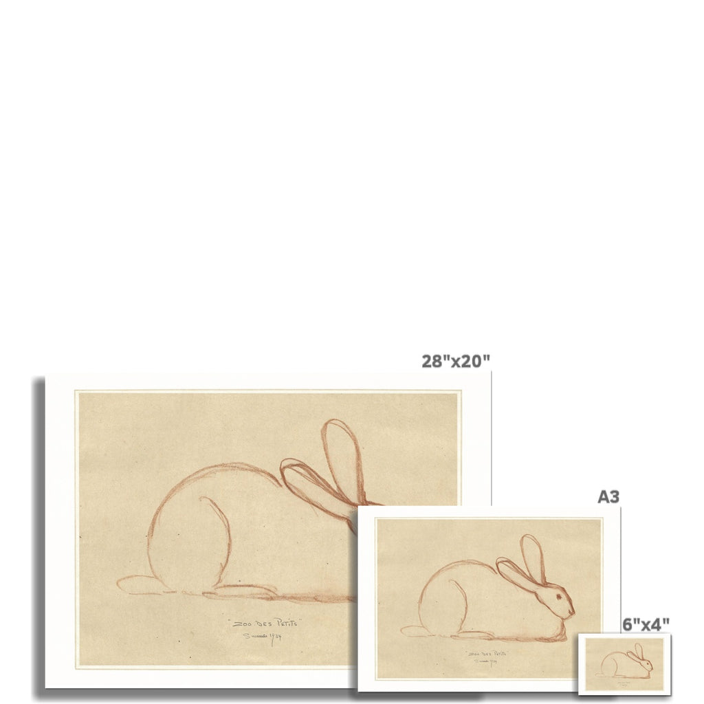 Bunny Rabbit Sketch, 00586 |  Unframed