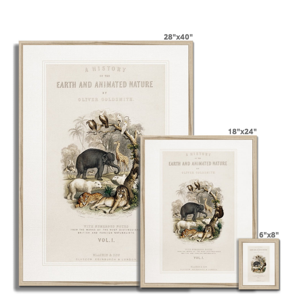 Animal Nursery Art, 00689 |  Framed Print