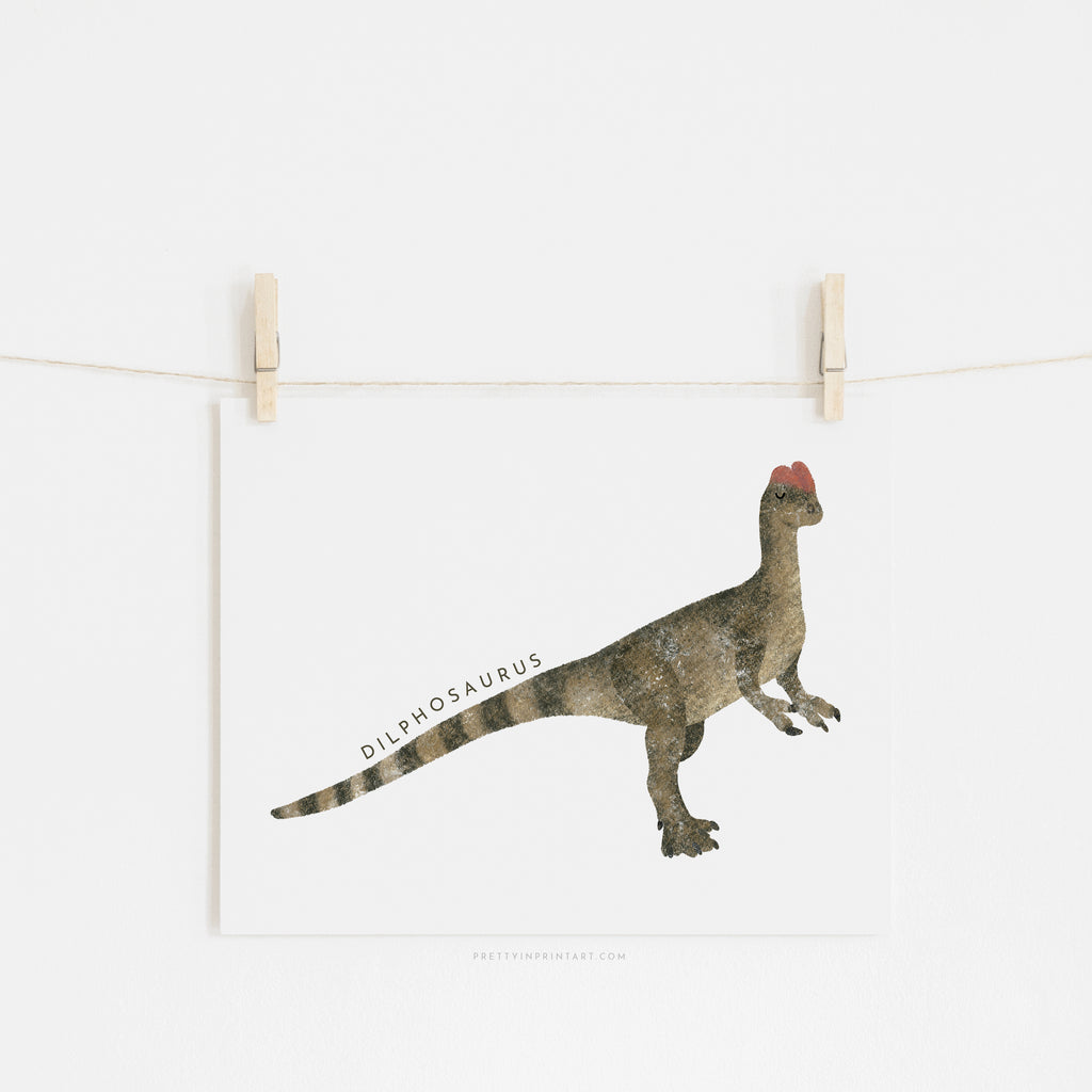 Dinosaur Art - Dilophosaurus |  Unframed