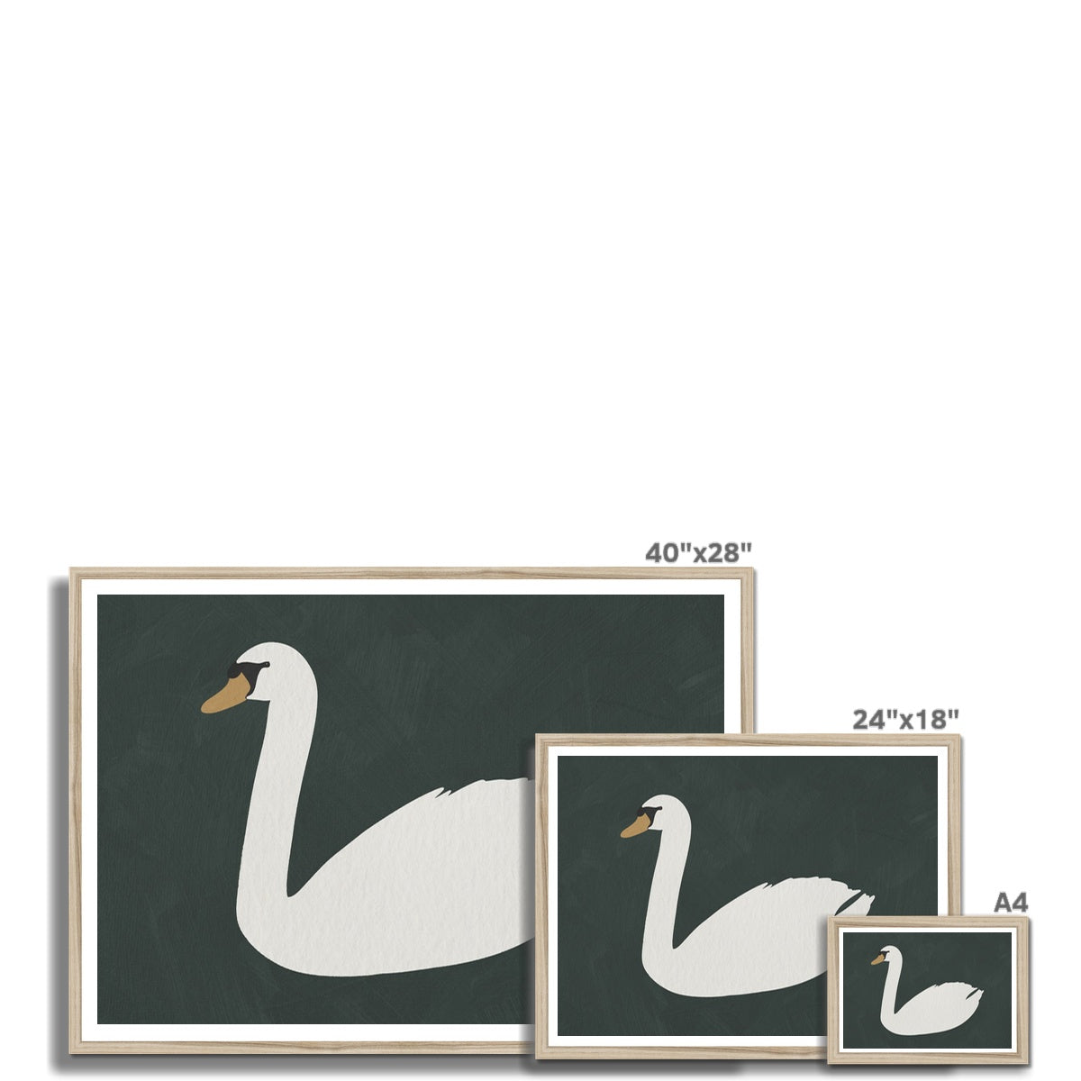 Swan Art - Studio Green |  Framed Print