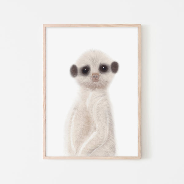 Meerkat - Funny Animal Art |  Framed Print